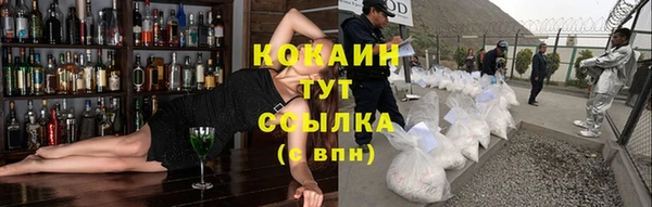 шишки Белоозёрский
