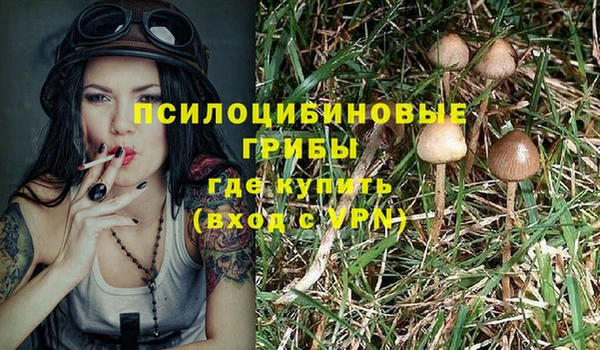 spice Балахна