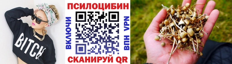где купить   Афипский  Псилоцибиновые грибы MAGIC MUSHROOMS 